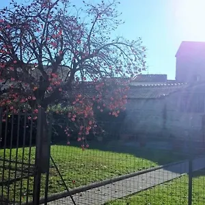  Apartment La Casa Di Lucia -